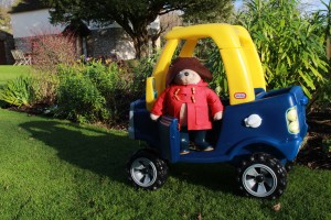 Family Fun at Red Doors Farm