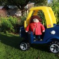 Family Fun at Red Doors Farm